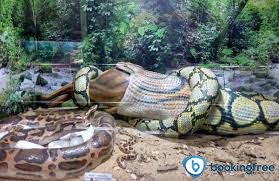 Guindy National Park In Chennai