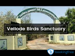 Vellode Birds Sanctuary In Erode