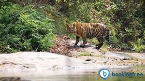 Parambikulam Wildlife Sanctuary   In  Palakkad