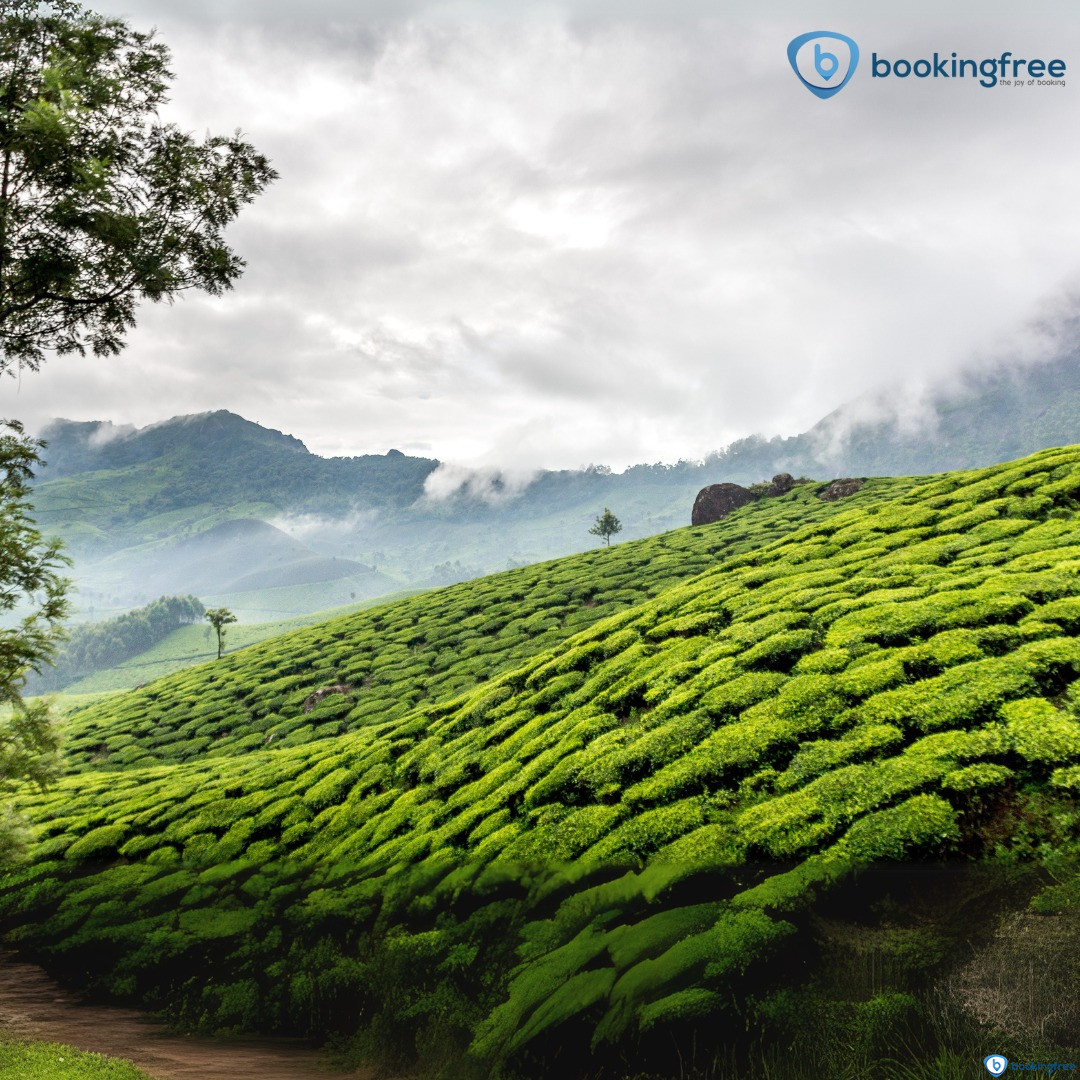 Vattavada  In  Munnar