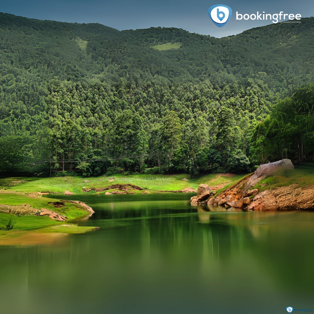 Eco Point  In  Munnar