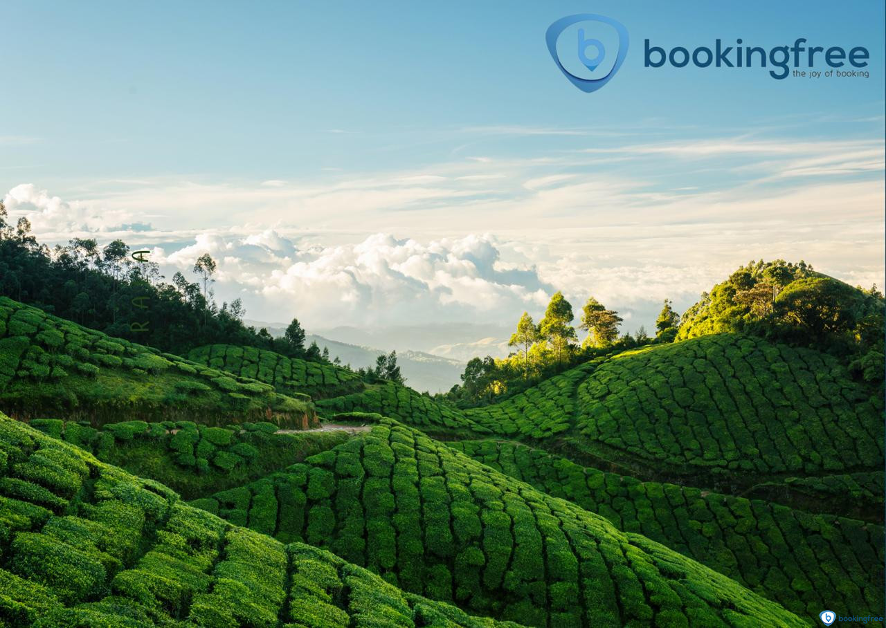 Eravikulam National Park In Munnar