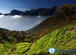 Anamudi Peak or Anai Mudi In Munnar