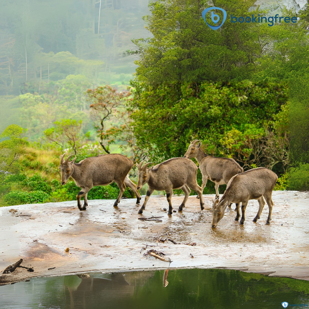 Shendurney Wildlife Sanctuary