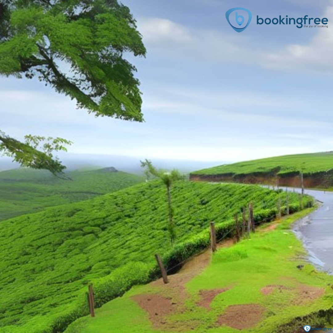 Lockhart Gap  In  Munnar