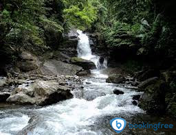 Meenvallam Waterfalls  In  Palakkad