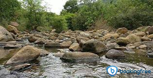Puliyancholai Waterfalls In Tiruchirappalli