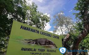 Amaravathi Crocodile Farm & Dam In Tiruppur