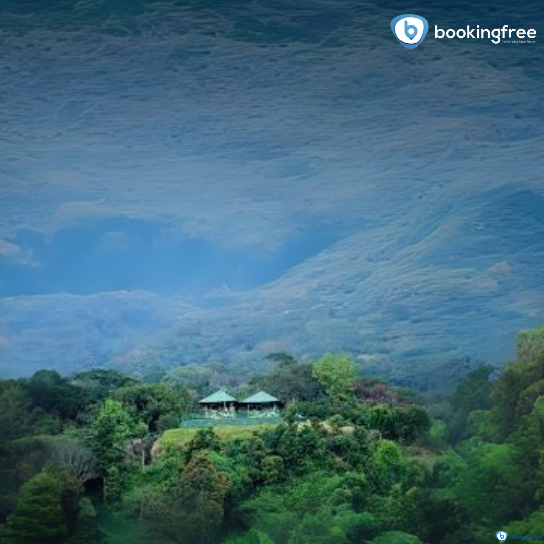 The Pampadam National Park  In  Munnar