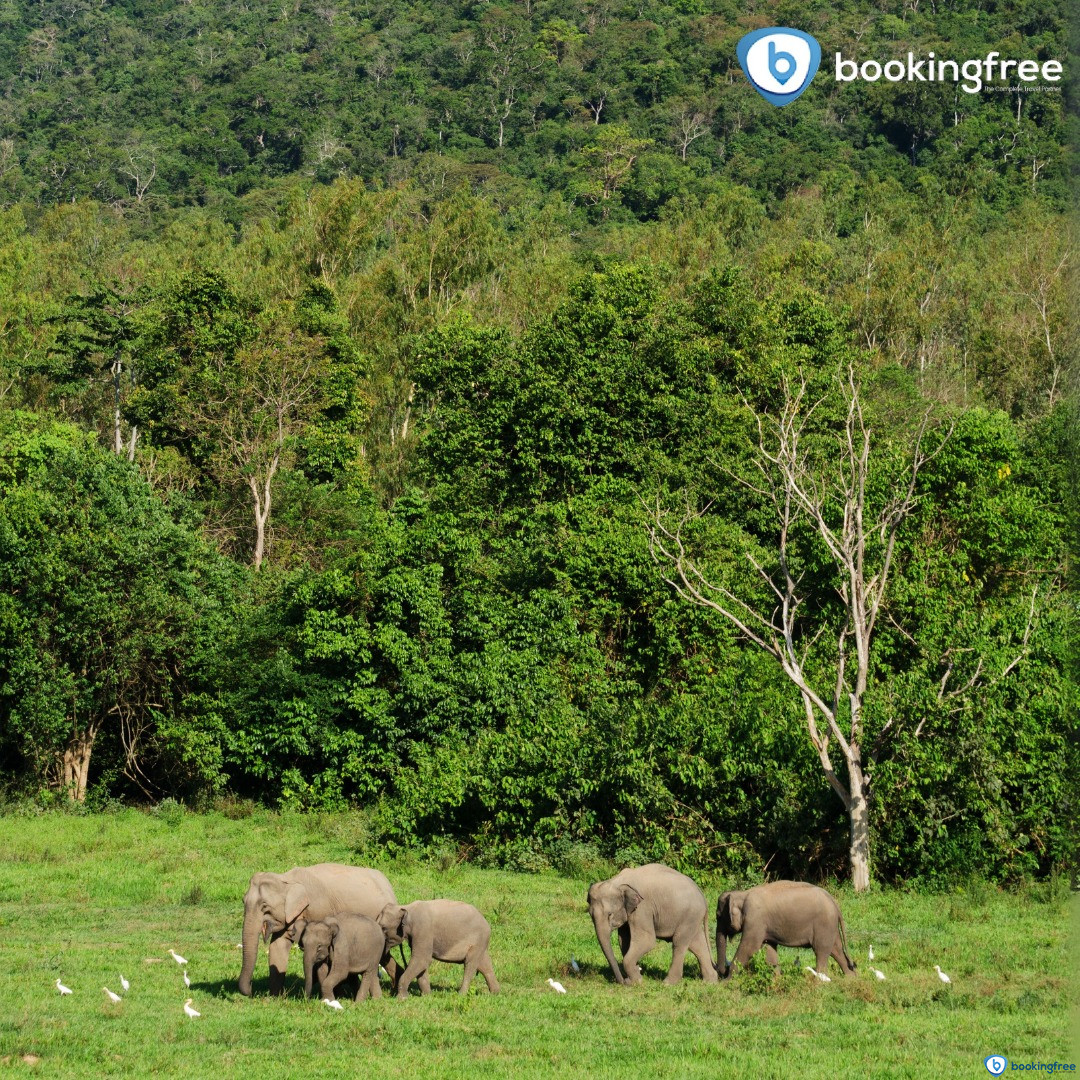 Periyar National Park  In  Munnar