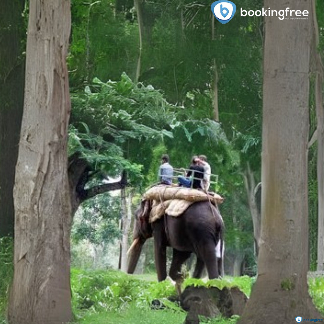 Carmelagiri Elephant Park  In  Munnar