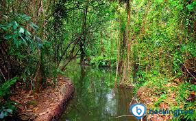 Kumarakom Bird Sanctuary  in  kottayam