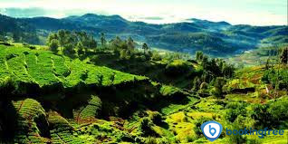 Ketti Valley In Coimbatore