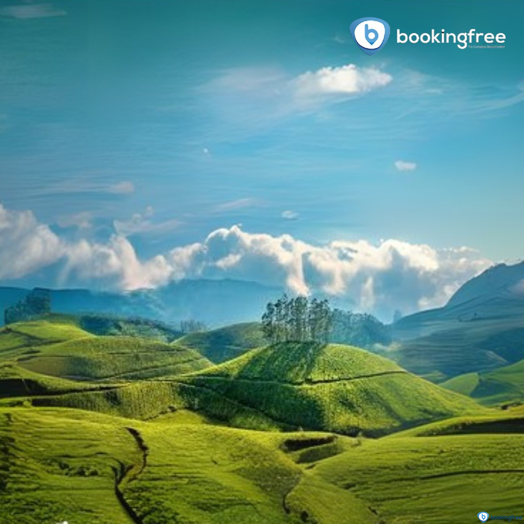 Pothamedu Viewpoint   In  Munnar