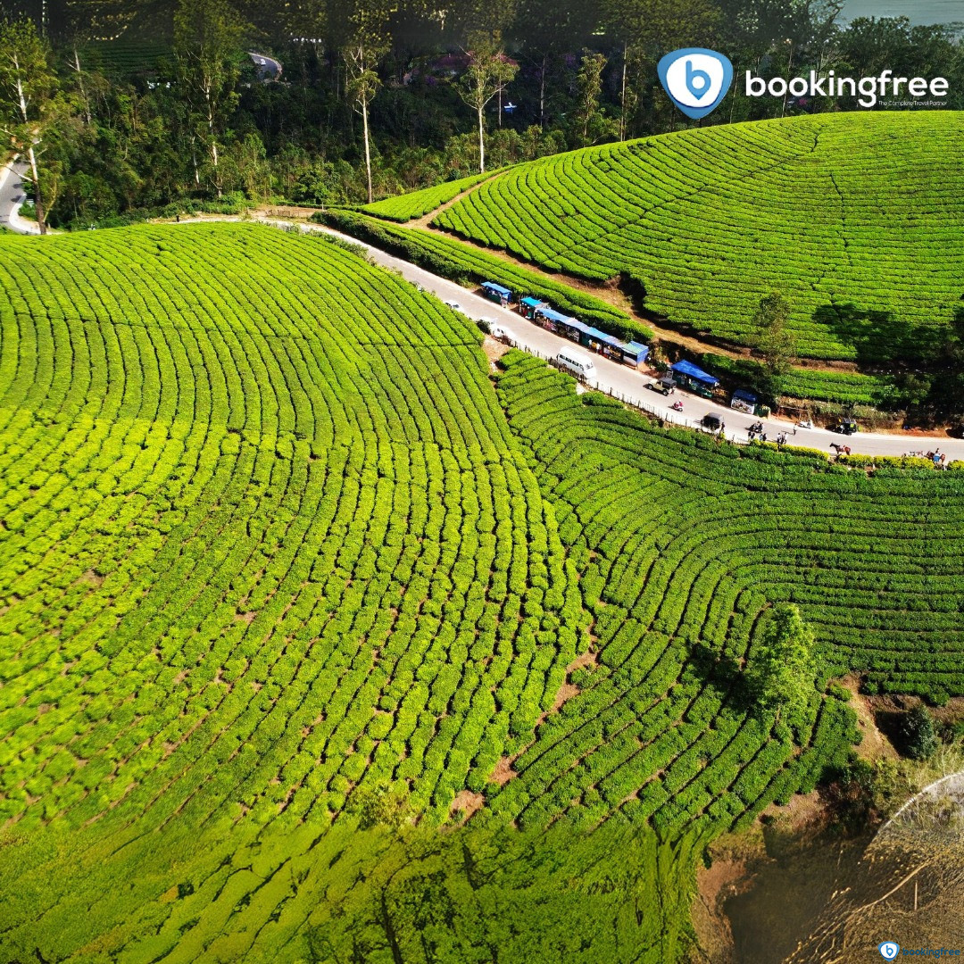 Photo Point  In  Munnar
