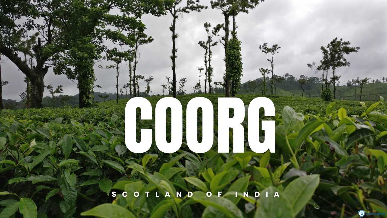 Tadiandamol Trek king Coorg